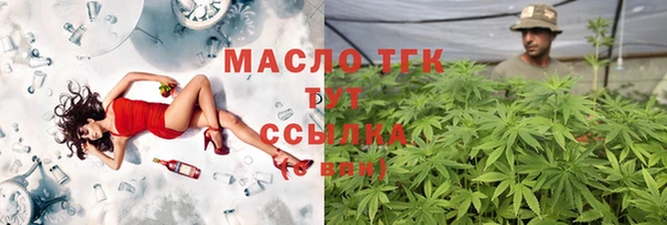 винт Надым