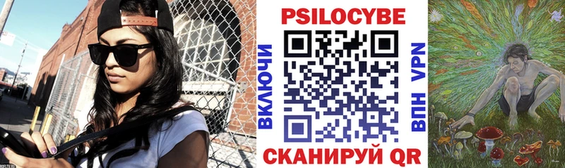 Купить где  Артёмовск  Псилоцибиновые грибы GOLDEN TEACHER 